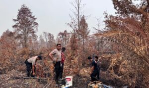 IMG-20260910-WA0136