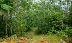 IMG-20261014-WA0014